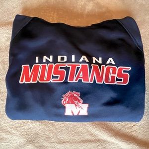 ⚾️ Demarini Indiana Mustangs sweatshirt hoodie